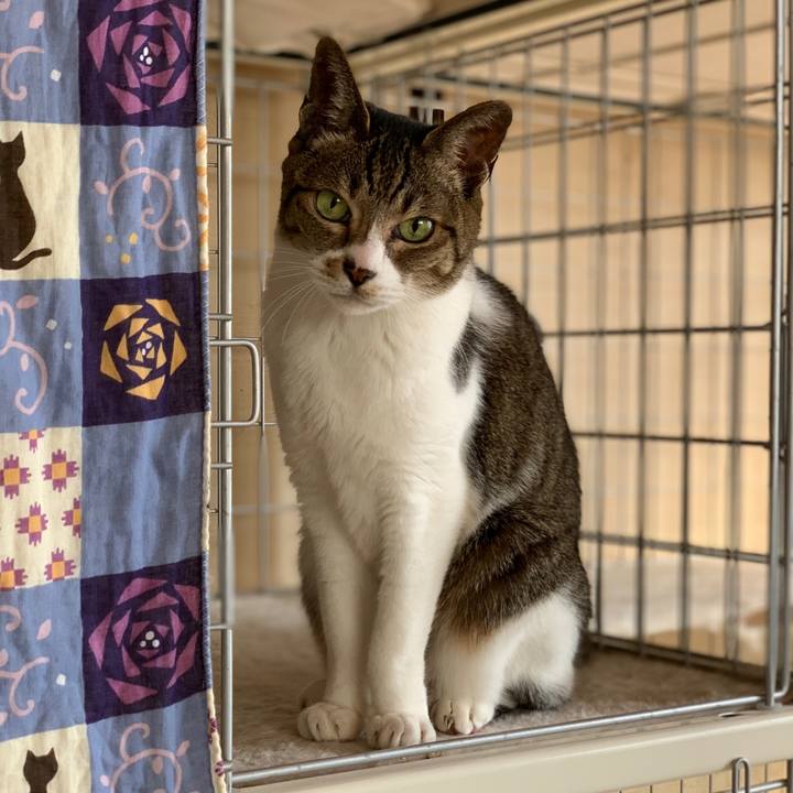 F7bb0233 e1d8 41d1 8e26 5a9b9a1a27e0 1585099132408