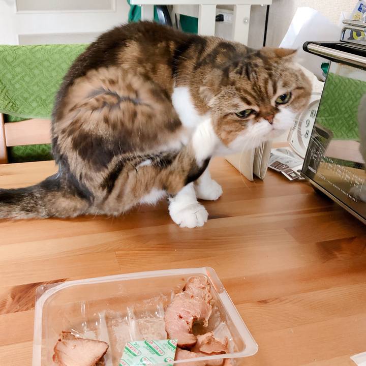 F7bb11c8 c019 42d4 8be1 dcc9272af4e0 1561107808387