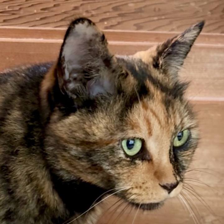 F7bb855d 2e04 4c4a a305 8ebfeb4d6765 1755918107993