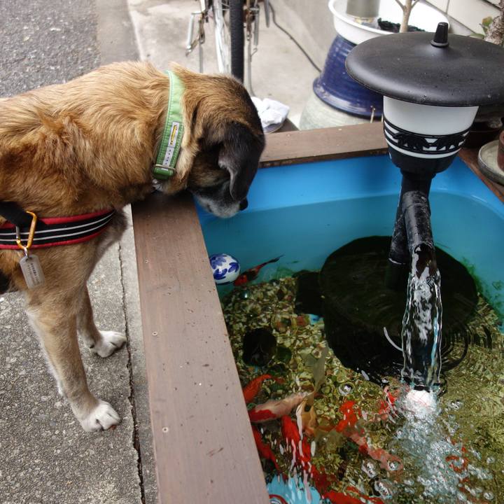 F7bbbabd b741 410d b1d7 a88912ad51a8 1625969564435