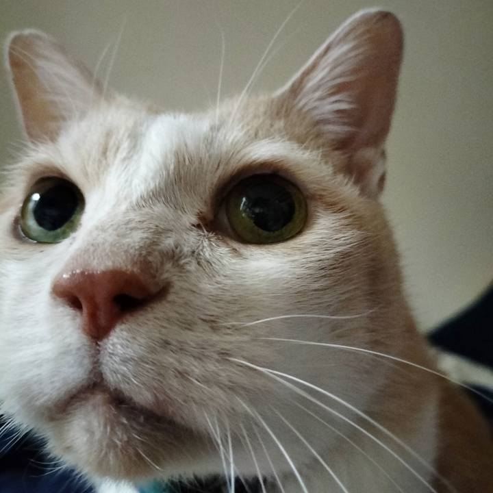 F7bbc7a5 c6f8 4c77 a607 7c53e02711b1 1674513248998