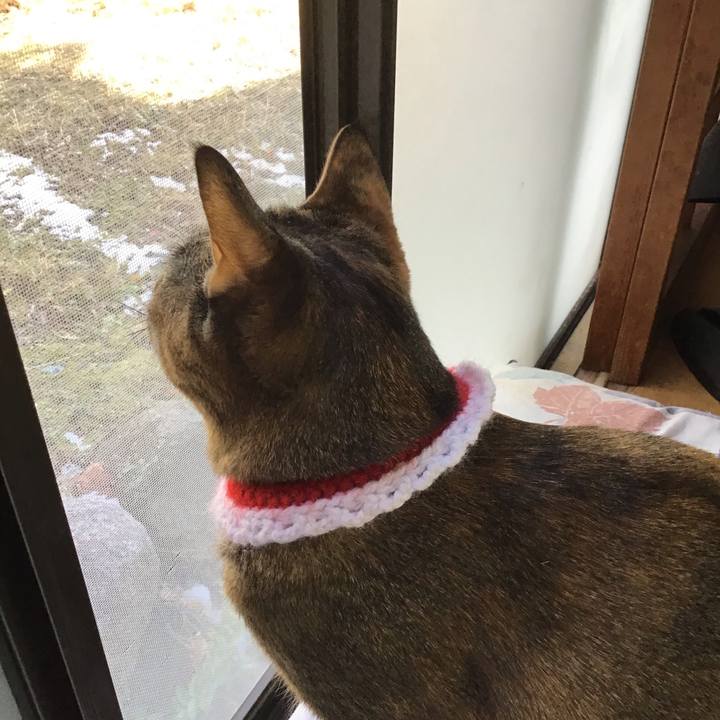 F7bc0c9a 50a0 441e 95fc 3af481bec823 1610513035048