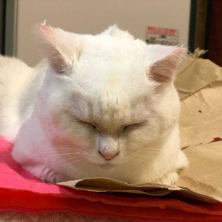 F7bc19b1 c959 46fc ba9a 89e2f19cd5e9 1536417909502