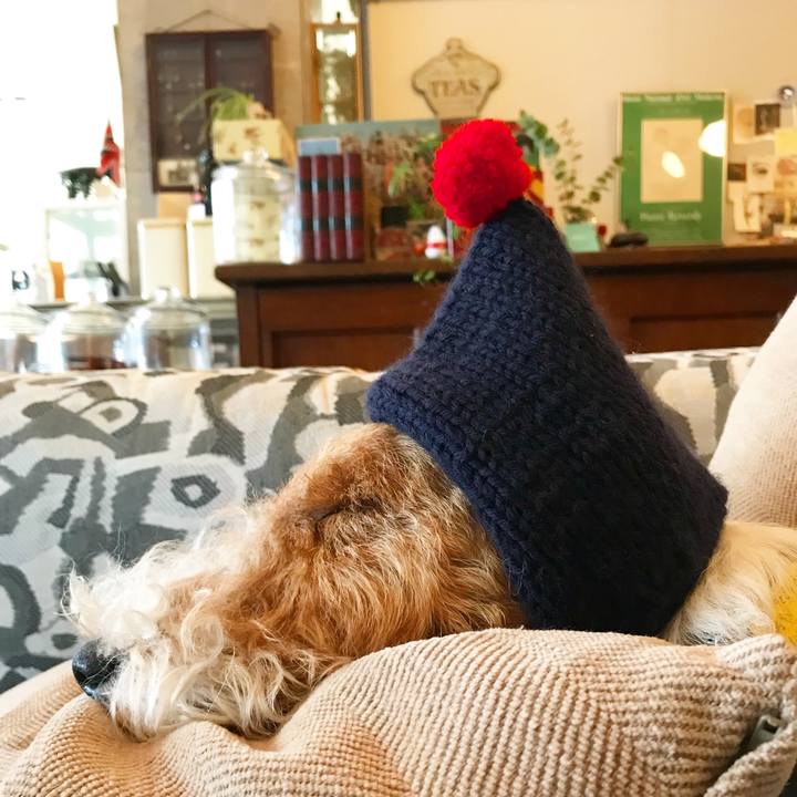 F7bc1a9e 9cad 417a b2b1 d40ea7f8698f 1511247561466