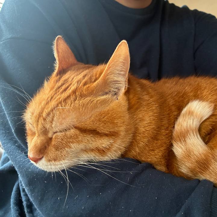 F7bc5520 dd4c 48e1 bb9d bd62afcf8817 1763419299161