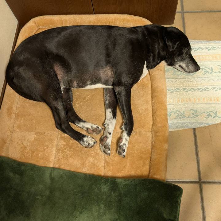 F7bc658d 19ec 4111 9ac7 e844c17b89b2 1765207634746