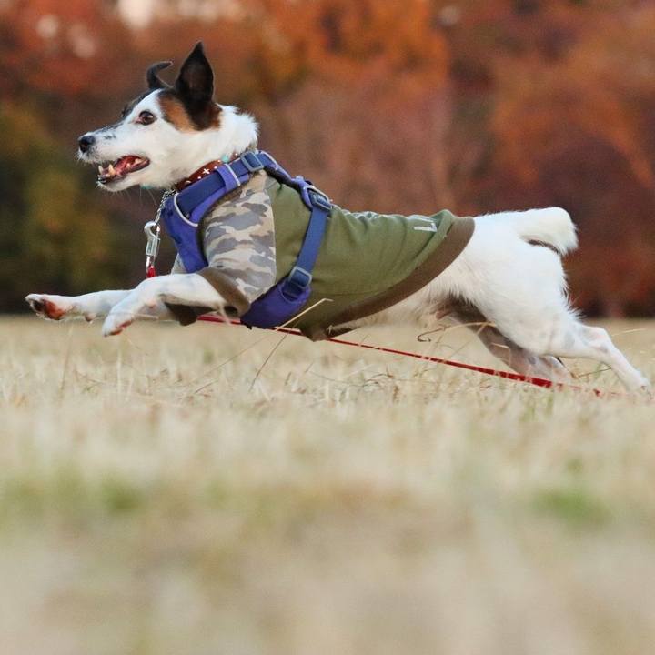 F7bc6c1c b95f 4324 8204 83ee23881f09 1638626940332