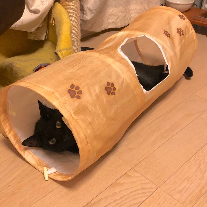 F7bc7f1b b6b3 4148 b6db cfbeced3f2ef 1572616040788