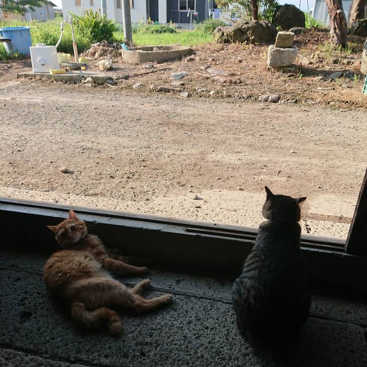 F7bcc327 239b 4786 8553 3627a396a08c 1660085807201