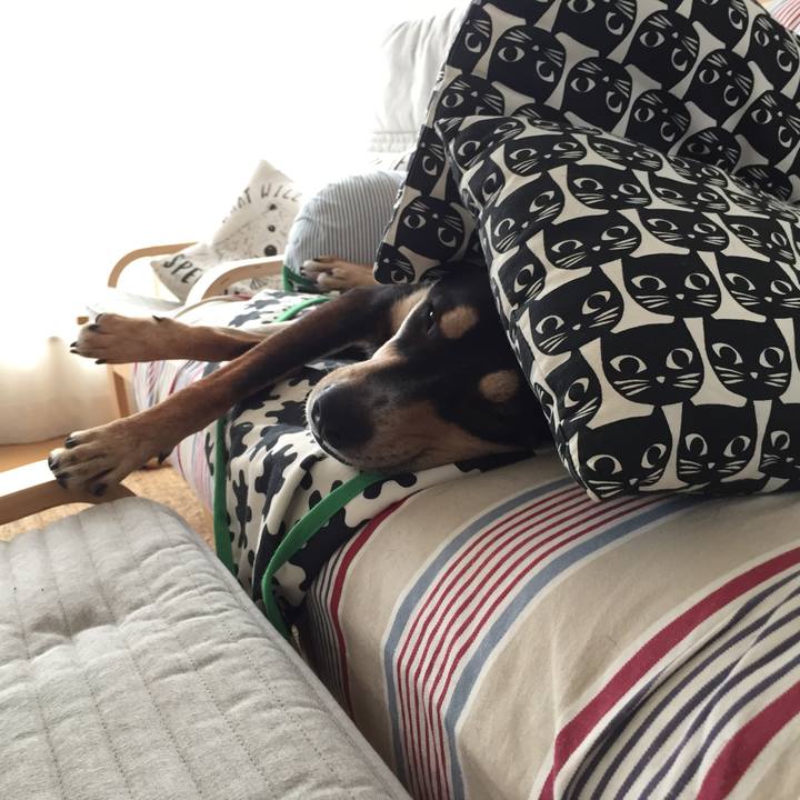 F7bcee8c 9d70 4c74 9093 2c3fedd5e521 1542294154289