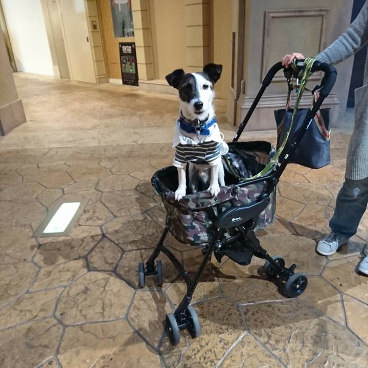 F7bcf035 1b66 43a1 8c03 66ec5ff65e32 1510712288125