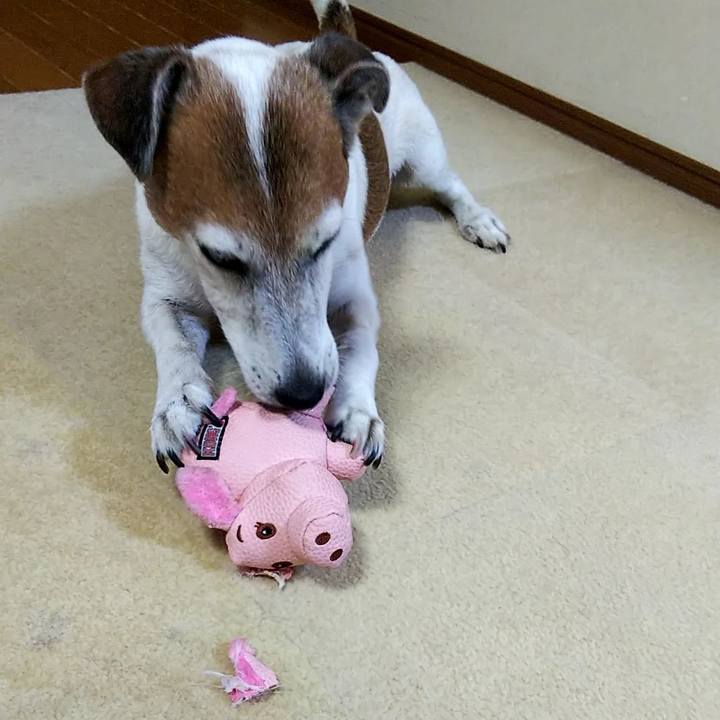 F7bcf1fc 3a65 49c8 8779 8f0de095147f 1534166826326