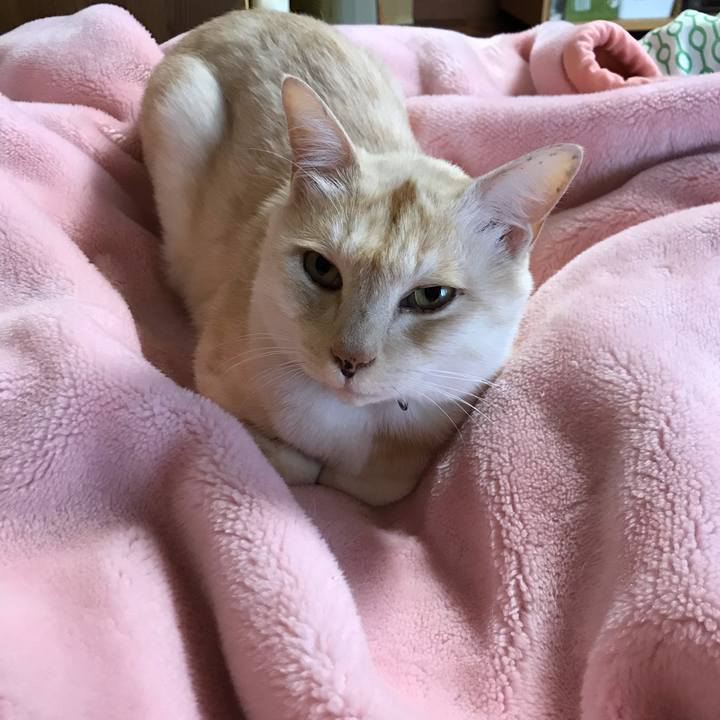 F7bd02e4 9fa3 48f1 92b3 1cf8446c6530 1542542679894