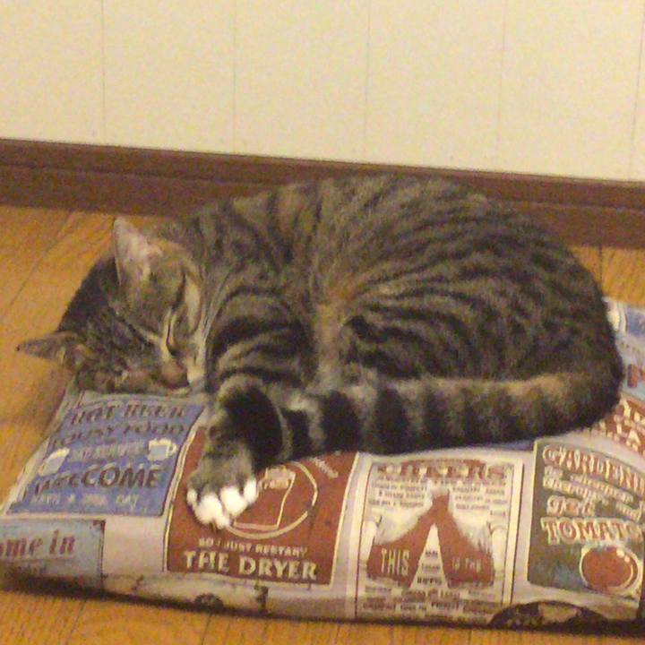 F7bd5051 f284 48e5 98bd b19f2ea22361 1547133627262