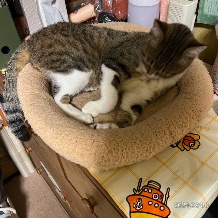 F7bd54bf 5495 4d92 9ce2 82b44401fbd7 1727647621998