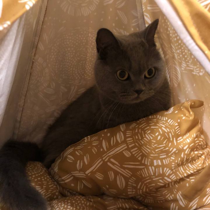 F7bd7bef b32a 427d ad8b 6437f1c9b8f5 1568078729851