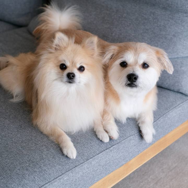 F7bdaa8d b9cb 47f9 b5b4 9c7897576246 1773007530206