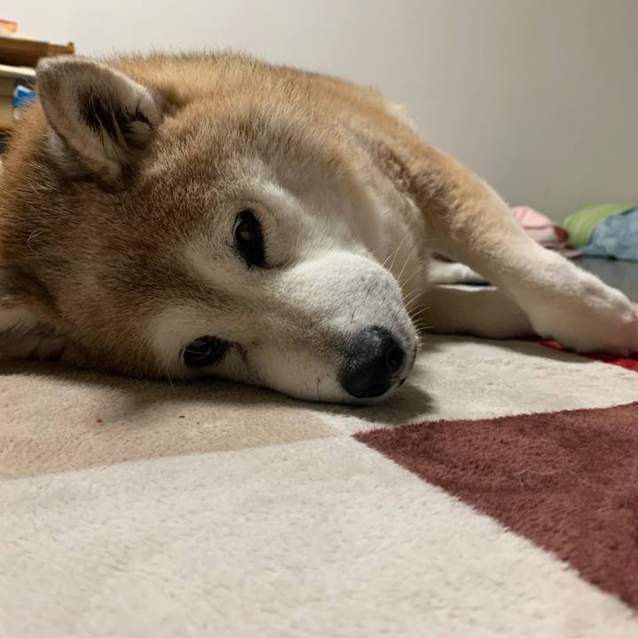 F7bdc54a 973a 4524 bda8 a42017b066f6 1639295115684