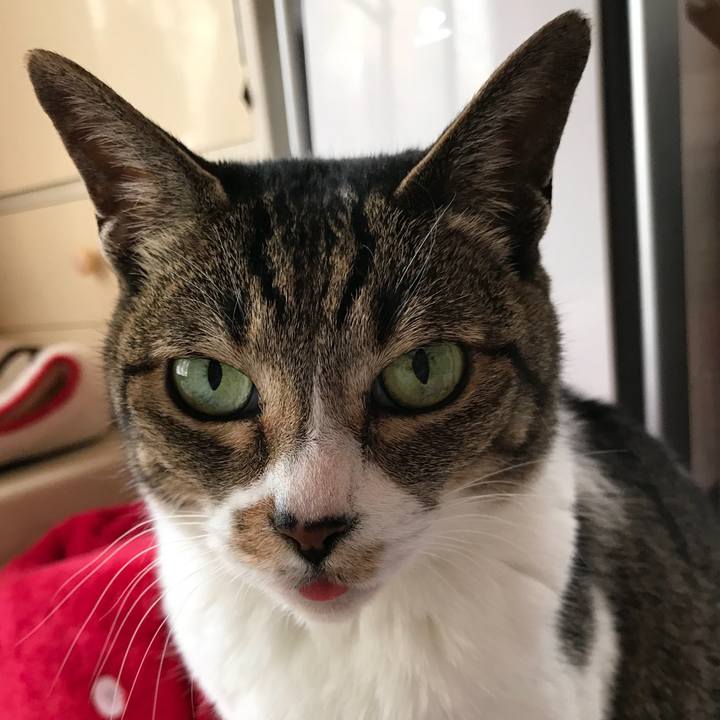 F7bdd7f9 5b58 410a 8187 ac39e91c6aaa 1526346552494