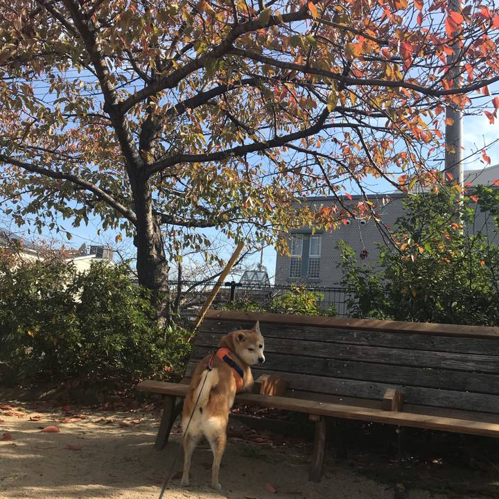 F7bdd850 c8d1 46bf 9869 7d19a99128f9 1542801952202