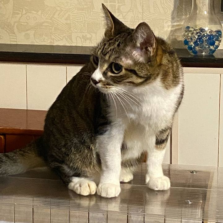 F7be48b4 4a78 46da 8ea2 78816b6ab88e 1634762464268