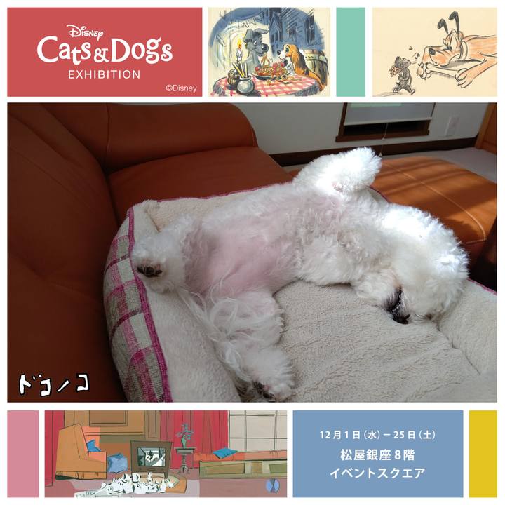 F7be4bc3 46cb 454c 9c7d 6bf4fbf85631 1638418053846