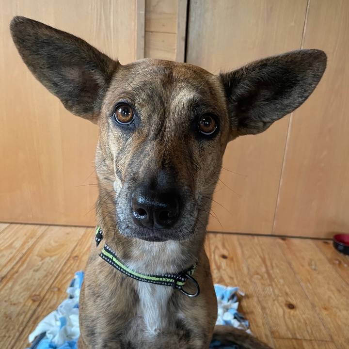 F7be6df3 1544 4ccb 88ca fd25b9976d91 1654408694812