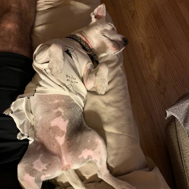 F7be844f ceb0 477c bd4b f54eb1f7e037 1574565702185