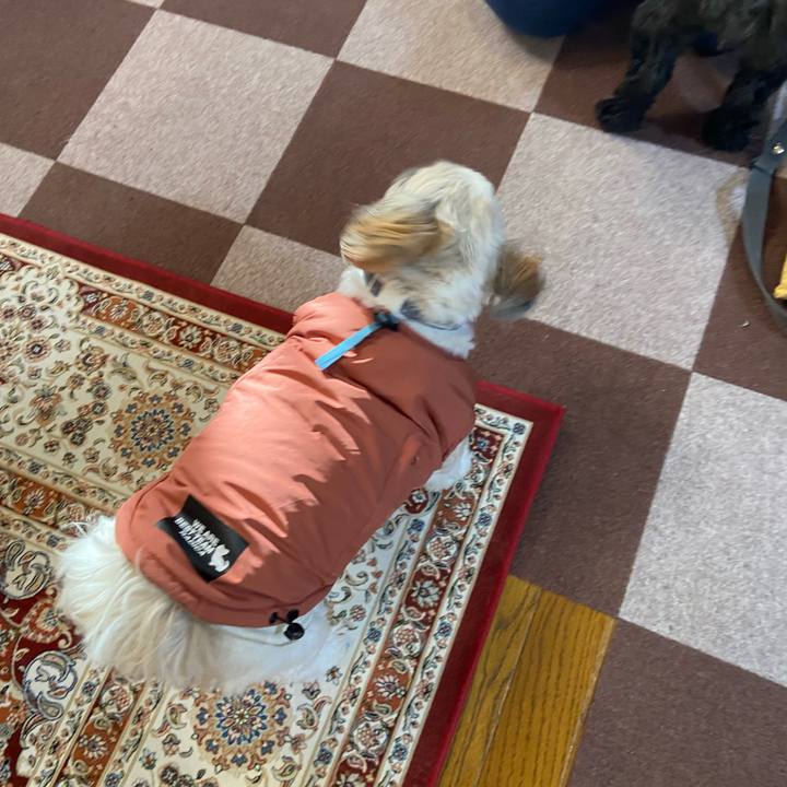 F7be87a9 30de 41b1 a25a 39c4ff9ecc52 1670070667754