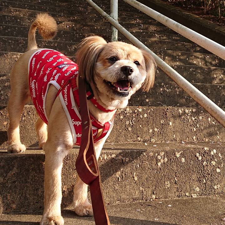 F7bec08e 32aa 4233 b4b9 0a8353f9c4ea 1586005066938