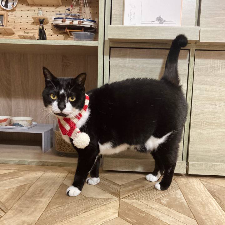 F7bed28c 07cc 4692 8874 5b412c8e41d4 1766635662669