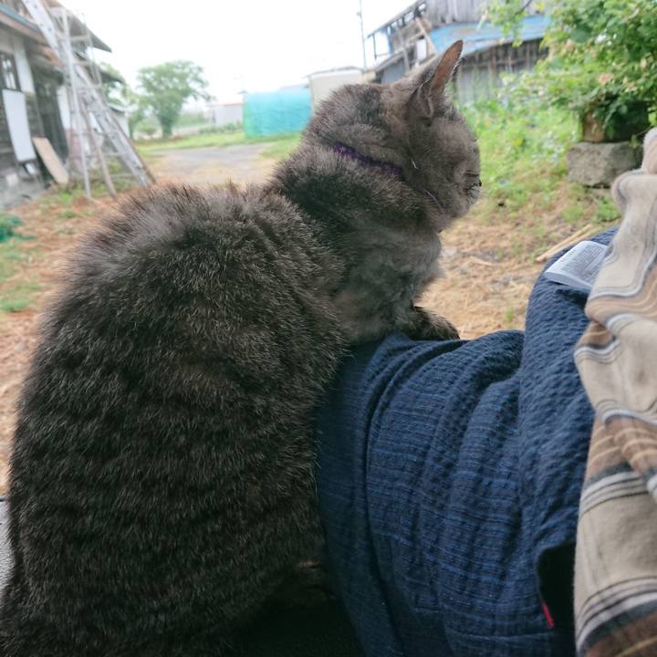 F7bede23 ddcf 41ef 80b4 6f5659be63e1 1592857179633