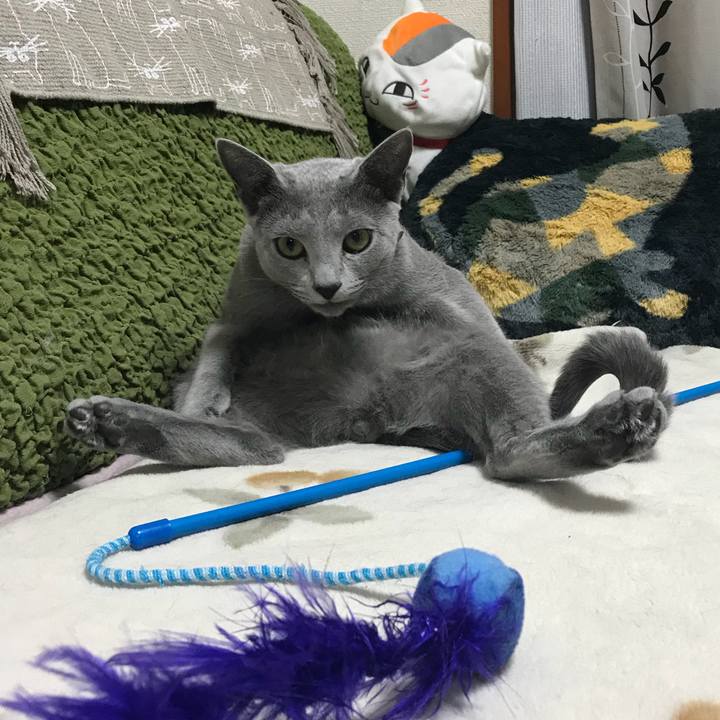 F7beed16 d486 4eb0 aa58 46dab5be0388 1523969570095