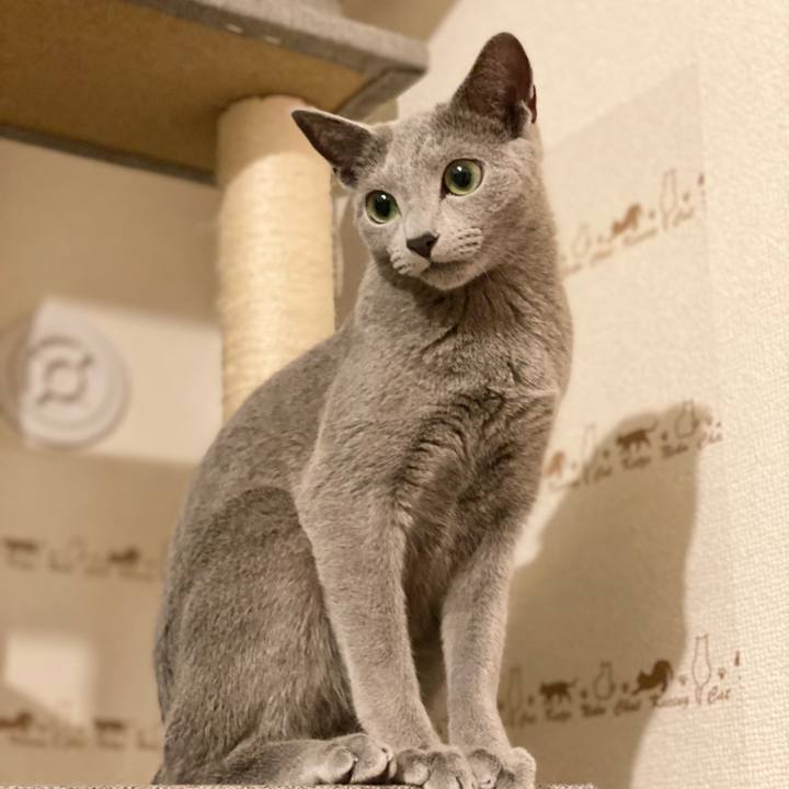 F7bef374 579d 4474 aee2 cdcb04cff2ce 1616421957256