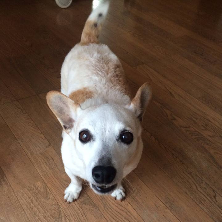 F7bf15af f86f 480f 936b 2f9057f6883b 1531957560595