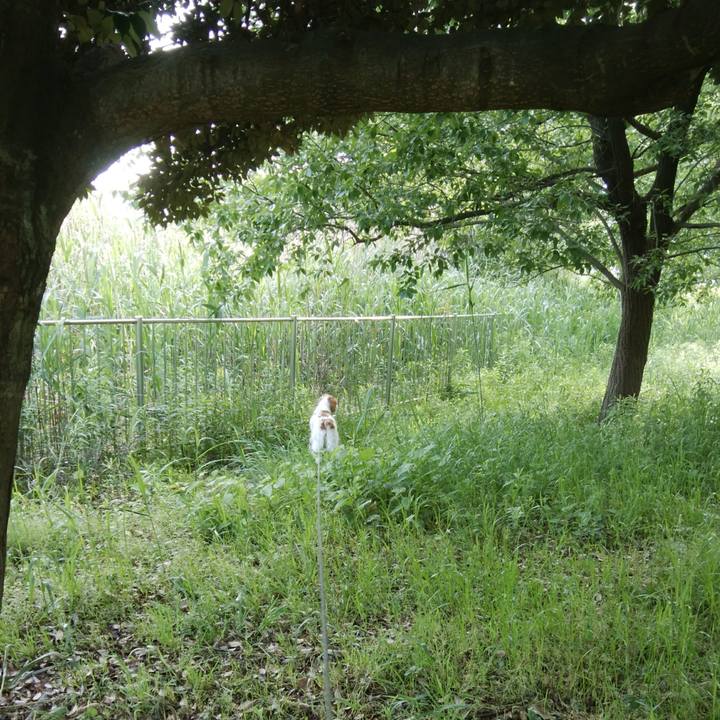 F7bf3462 dcde 455d bc6c 5b7120ab2d00 1526082982033