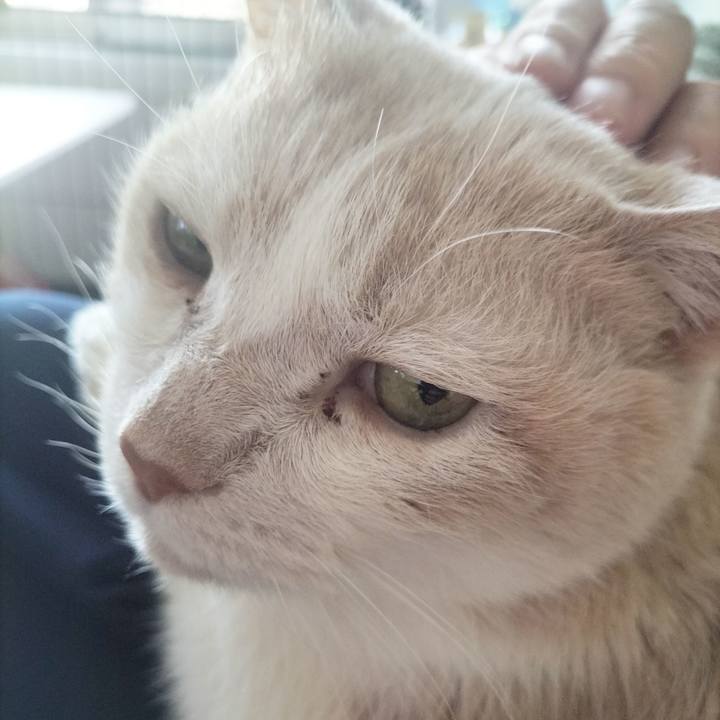 F7bf4e12 6ffd 4c11 aa56 0a12fcc71914 1709332748589