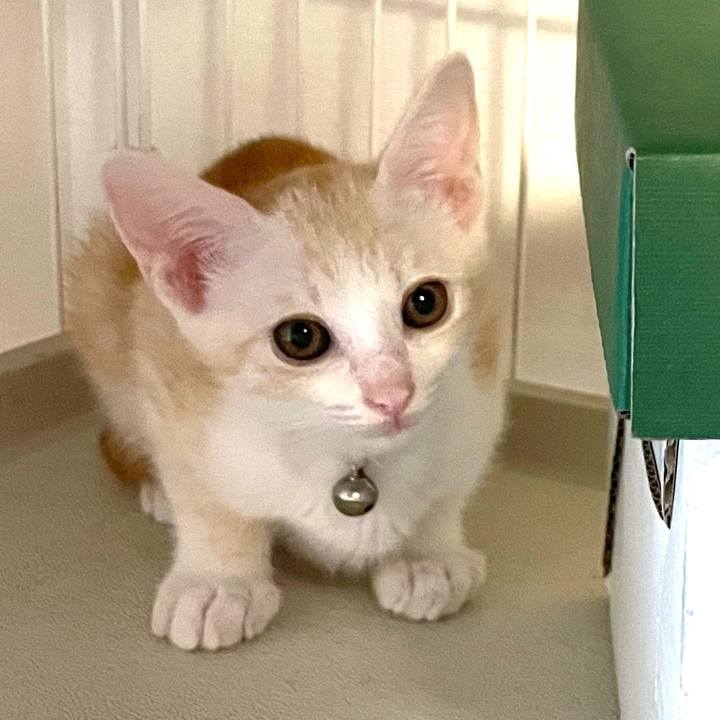 F7bf55fe d486 42e7 88ae 07fe02c63ab9 1719704661095