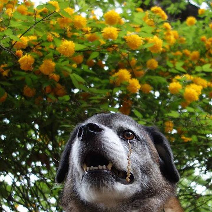 F7bf5794 36c9 4eeb 9a47 f9a13d865a04 1523671337827