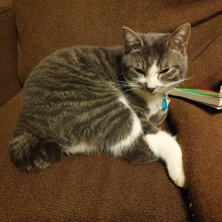 F7bf669e 1c63 4058 8e16 b3eafa9b134c 1579361535209