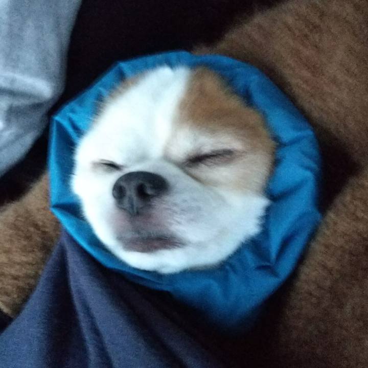 F7c00a2e 1e85 485f 8716 de6b8490de4f 1509279583985