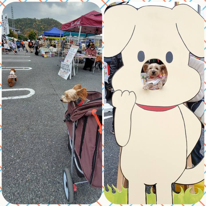 F7c03496 d745 4c6f a5dd 2c2edb3ca1ec 1604825570706