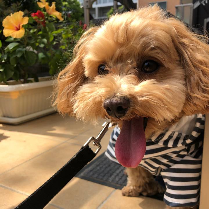 F7c0403b 8ce4 4417 a7ee 56dbd049a6e7 1620547458790