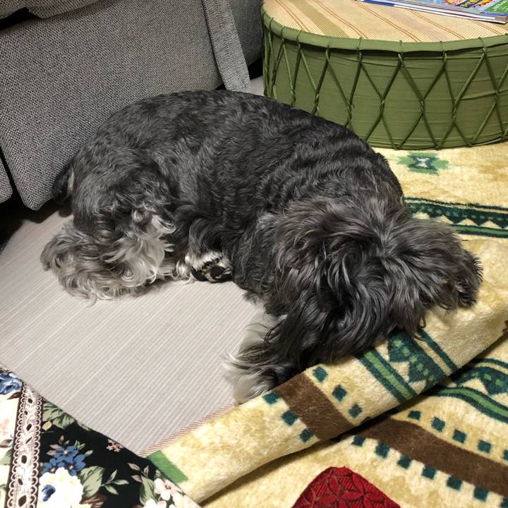 F7c0503b 6c79 4c30 9ee8 9206aedd31ff 1655341595854