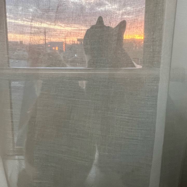 F7c075d6 1d95 468c bfb4 071ce68171f3 1761206624309