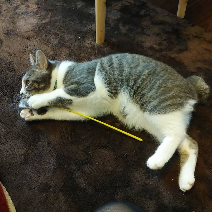 F7c08dc3 e24f 4d47 93d7 983a1b3d6254 1583279433247