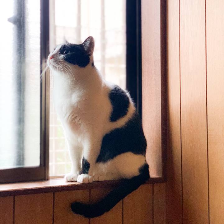 F7c0ad81 4a55 4420 8d3c abcfb388d4a0 1578536972094