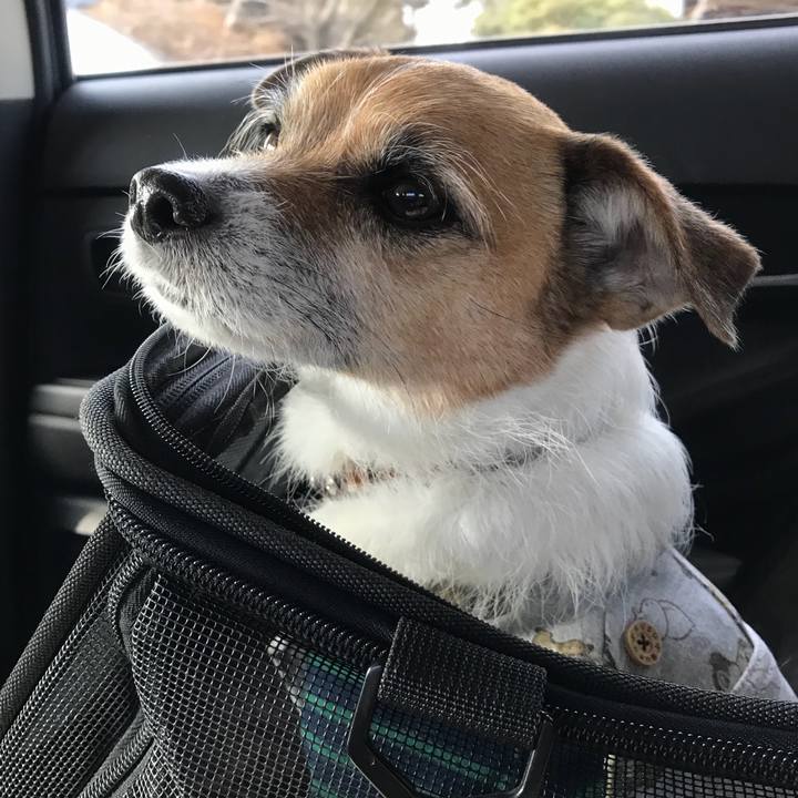 F7c0e1b6 a564 42c0 8f24 82c20bf771cf 1518223113839