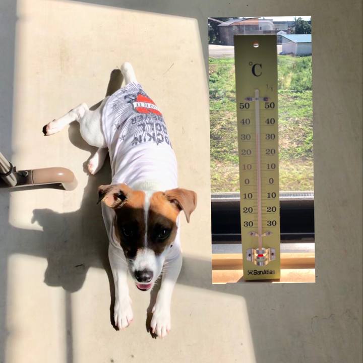 F7c0e712 0b94 48b0 9143 ccb40cb77f4a 1568511772345