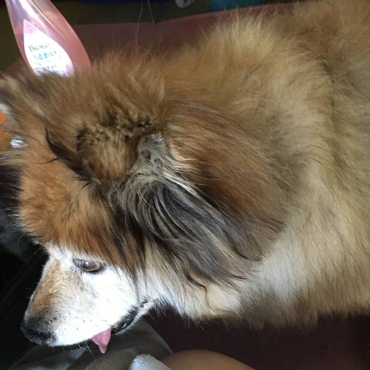 F7c117bd 87ea 4884 a75b a80f443a9e2d 1589444054885